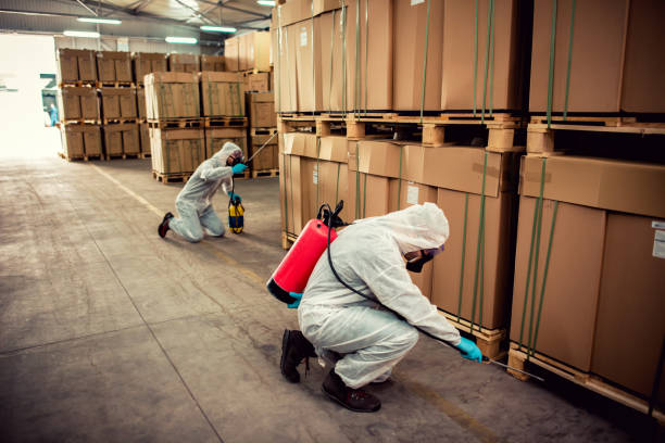 Best Pest Control Near Me in Fairview, NY
