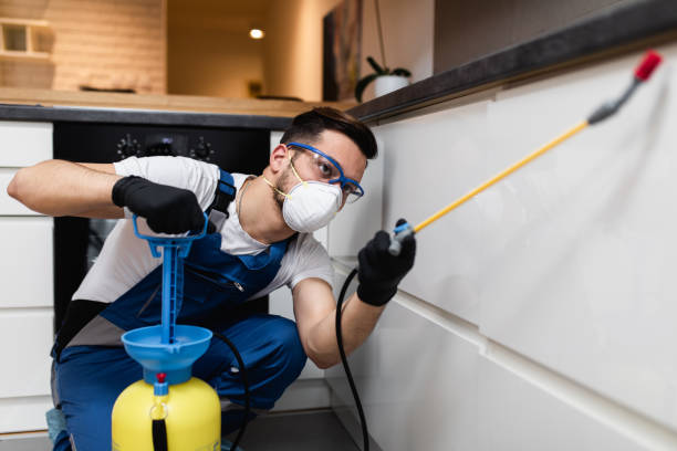 Best Affordable Pest Control Services  in Fairview, NY