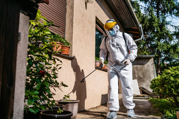 Best Rat Extermination Near Me  in Fairview, NY