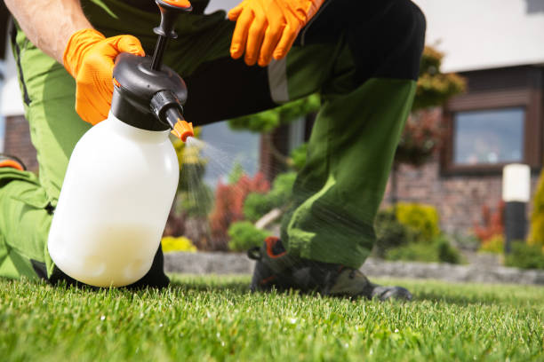 Best Residential Pest Control  in Fairview, NY