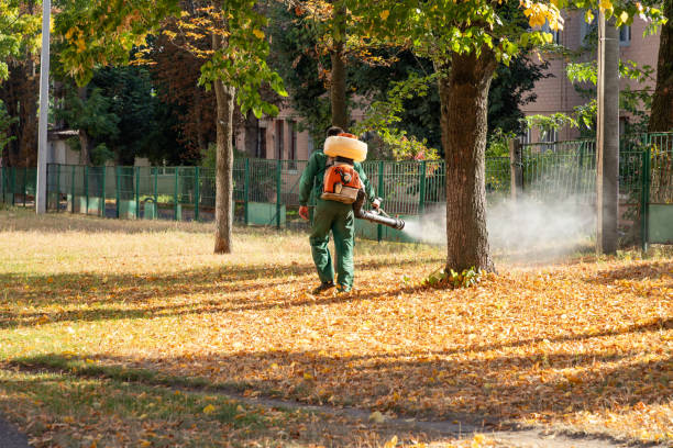 Best Bed Bug Extermination  in Fairview, NY
