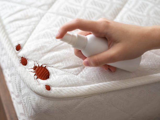 Best Pest Inspection Near Me  in Fairview, NY