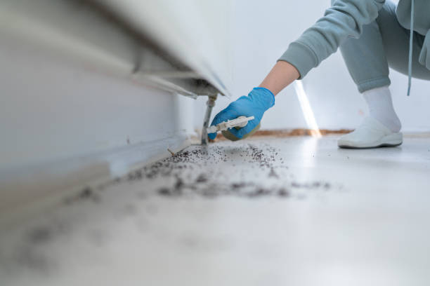 Best Cockroach Control Services  in Fairview, NY