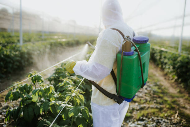Best Insect Control  in Fairview, NY